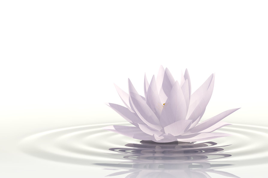 蓮の花