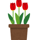 flower_tullip_hachiue.png