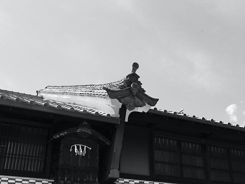 IMG_4071 (1).jpeg