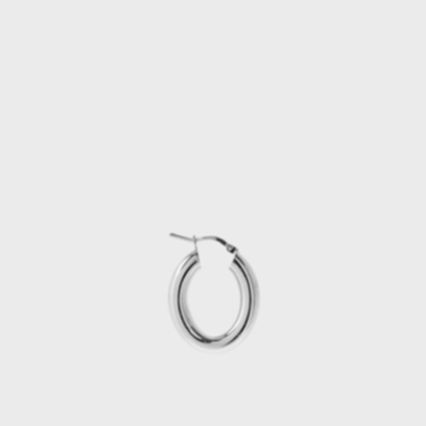 Silver Autumn Agave Earrings
