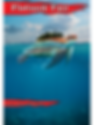 The Flotsam Fair pdf