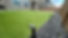 Artificial Turf