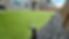 Artificial Turf