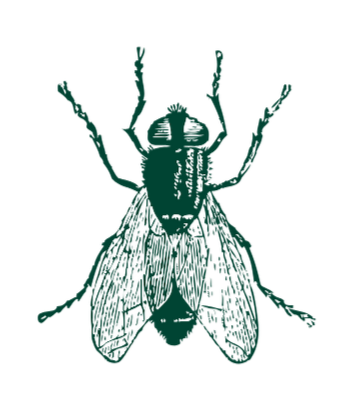 6 Fold Folder (1)_edited_edited.png