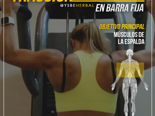 [Ejercicios] Tracción o dominadas