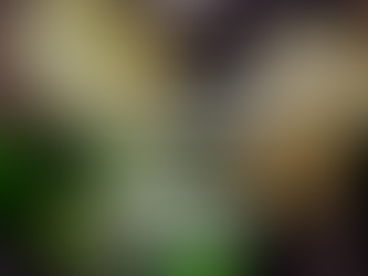 [¿Sabías Qué?] El zumo de limón no sólo da sabor a tus ensaladas