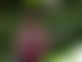 [YsbeTips] Para ejercitar, utiliza vestimenta holgada y cómoda