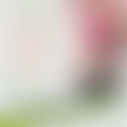 [Ejercicio] Plancha lateral