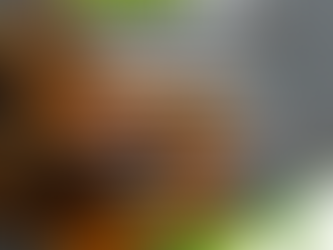 [¿Sabías qué?] ¡La cúrcuma tiene más propiedades de las que imaginas!