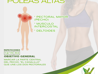 [Ejercicio] Cruces con poleas altas