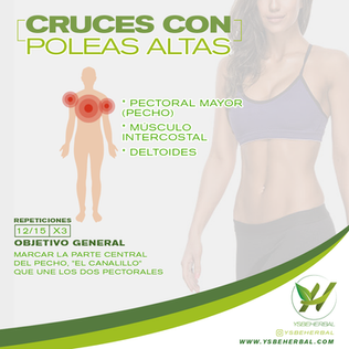 [Ejercicio] Cruces con poleas altas