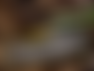 ¡El chocolate aporta muchos beneficios!