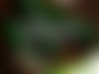 [¿Sabías qué?] El calabacín aporta gran cantidad de vitaminas y minerales