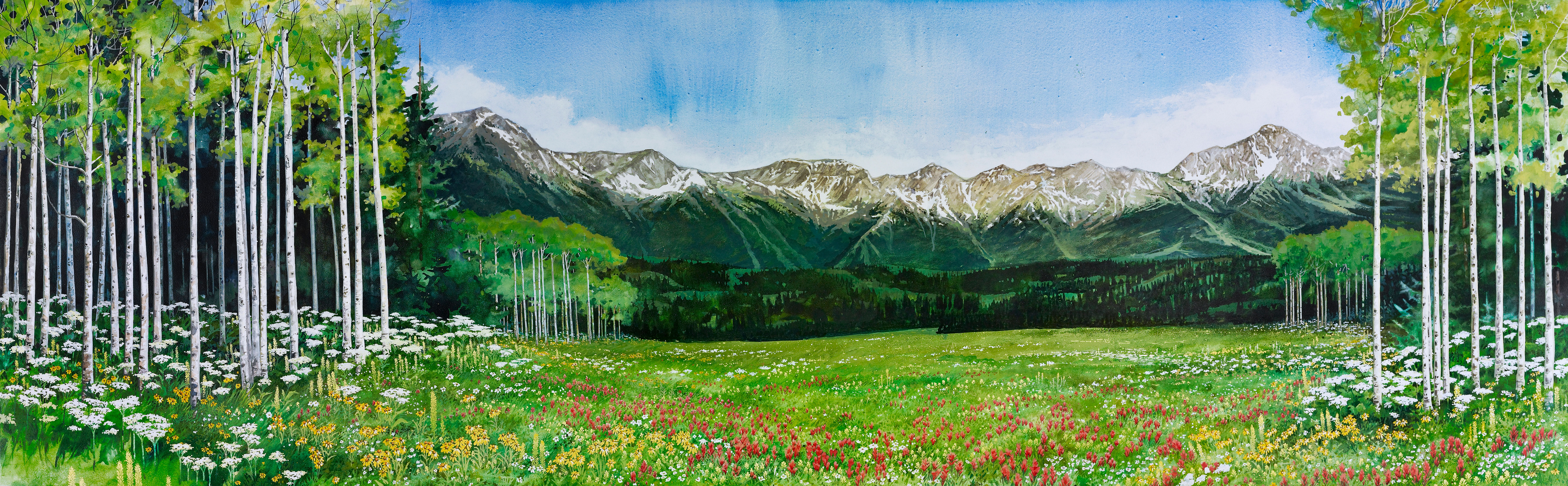 High Mountain Meadow