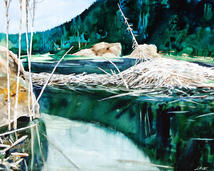 GROTTOS BEAVER DAM