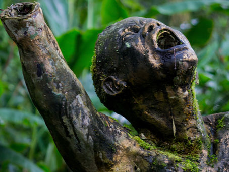 Revista NOVUM Vol.1 No.12 (2022)