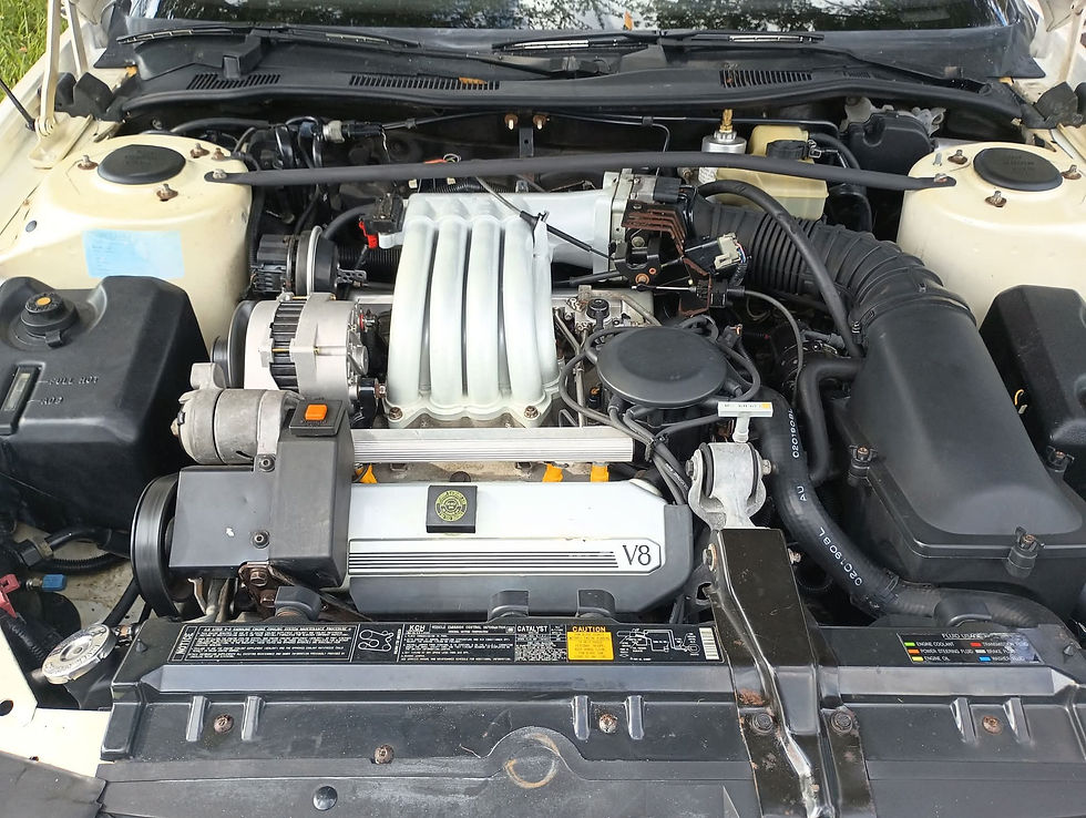 Close-up of a clean car engine bay with V8 badge.