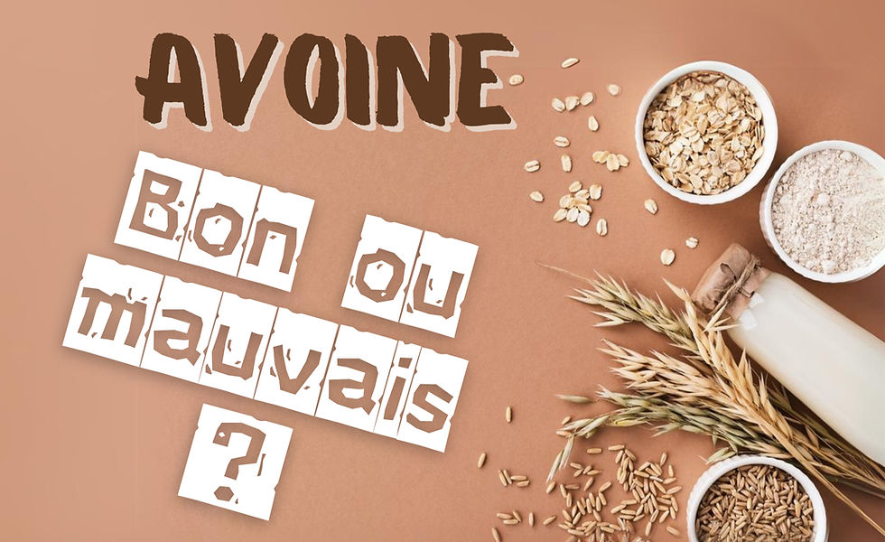 Avoine, bon ou mauvais ?