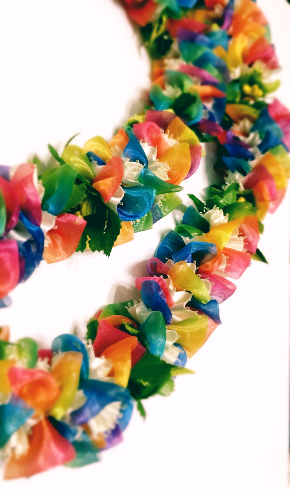 シャイニーレインボー