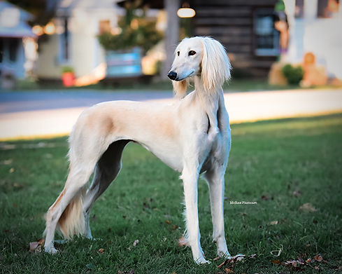 2023 OCT 12 Lebanon-8295-2DWNS.JPG