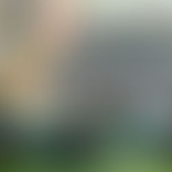 𝐁𝐀𝐑𝐀𝐍𝐆𝐀𝐘 𝐇𝐄𝐀𝐋𝐓𝐇 𝐖𝐎𝐑𝐊𝐄𝐑𝐒 𝐑𝐄𝐂𝐄𝐈𝐕𝐄 𝐂𝐀𝐒𝐇 𝐈𝐍𝐂𝐄𝐍𝐓𝐈𝐕𝐄𝐒...