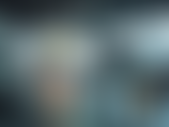 Exploring ANPR-Integrated Boom Barriers for Enhanced Parking and Perimeter Security Solutions