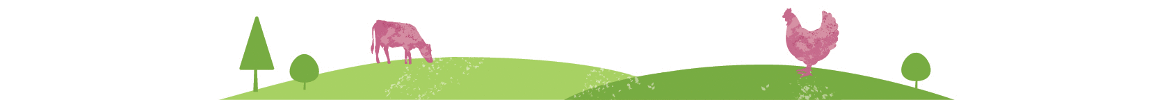 footer.gif