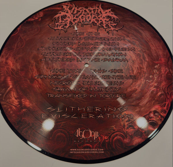 Thumbnail: Visceral Disgorge ‎– Slithering Evisceration