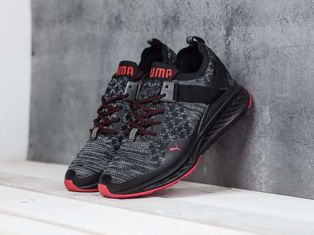Кроссовки Puma Ignite Evoknit Low