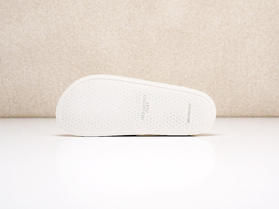 Миниатюра: Сланцы Givenchy