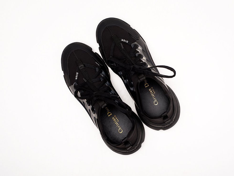 Миниатюра: Кроссовки Dior D-Connect