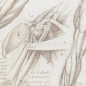Copy of Copy of Untitled Design (10 x 4 in).png
