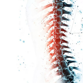 abstract-human-spine-anatomy-medical-ill