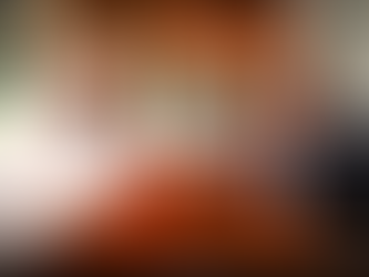 “Pedir una revisión sobre la sentencia de un juez a favor de la UAS, no quiere decir que no se respete la ley”: Dip. José Manuel Luque Rojas