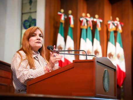 Diputada de morena, Victoria Sánchez expone los principios de la 4T de cara al 2024