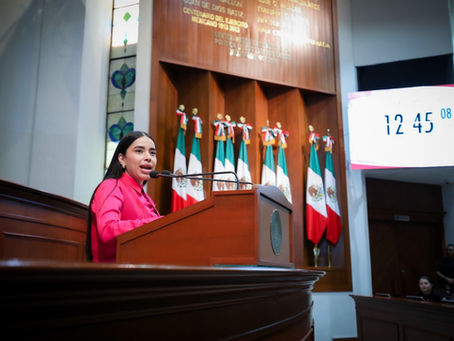Desde el Congreso del Estado, diputada de morena exige aplicación efectiva de ley de protección animal en municipios