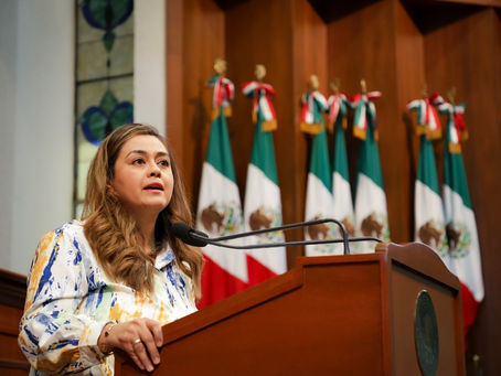 Ley de Protección a Periodistas y Defensores de Derechos Humanos, es una prioridad para morena