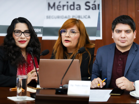 Diputados del GP de morena aplauden que Sinaloa se mantenga entre los estados con menos incidencia delictiva en el país