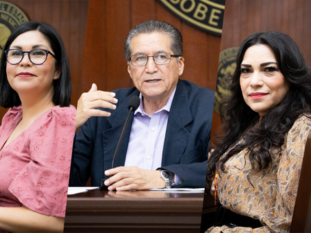 Necesario reformar Ley del IMSS para dignificar a las trabajadoras del hogar: morena