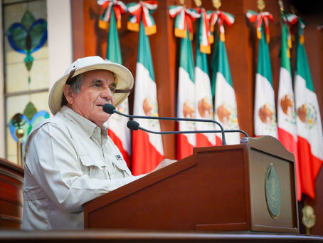 Impulsa diputado Santana Palma enfoque preventivo para garantizar la salud mental como derecho fundamental