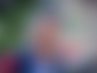 Prepara morena iniciativa para retirar fuero a Alcaldes y Legisladores