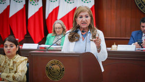 Desde el Congreso, Morena promueve ahorro y menos trámites con licencias permanentes