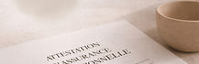 Attestation d'assurance professionnelle 