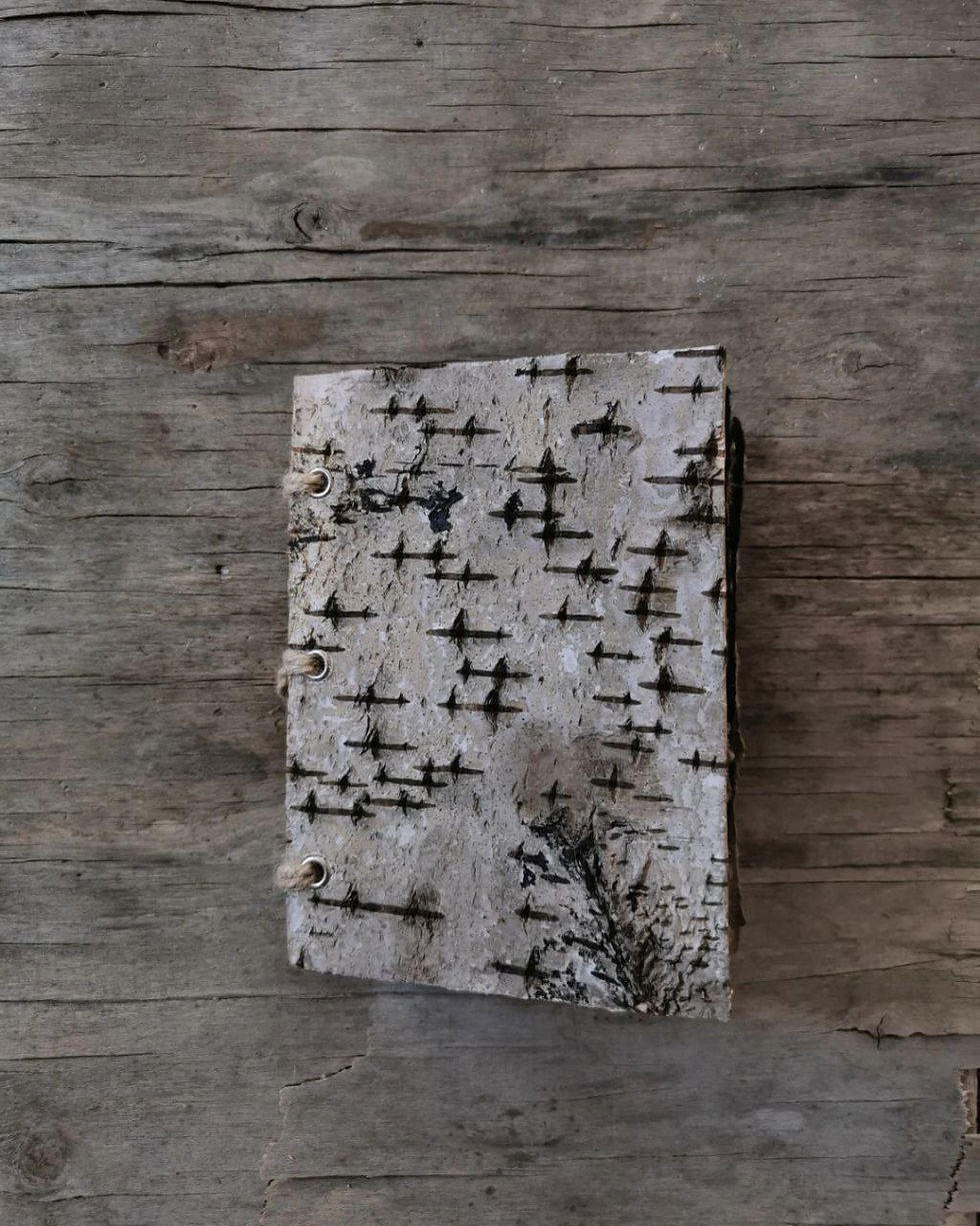 Thumbnail: Handbound sketchbook (bark cover)