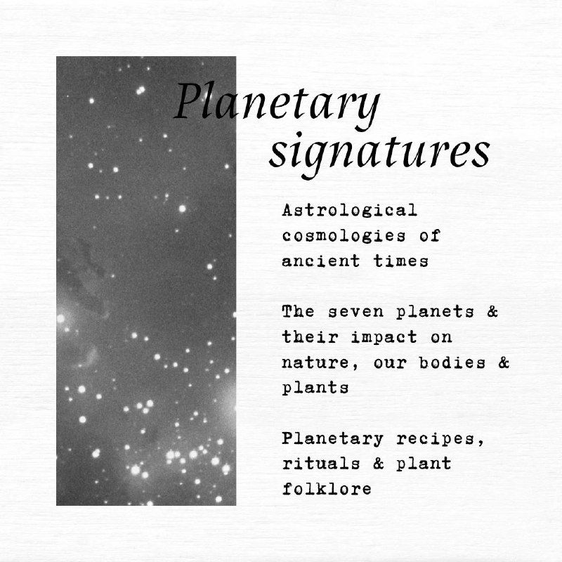 Thumbnail: Plants & planets