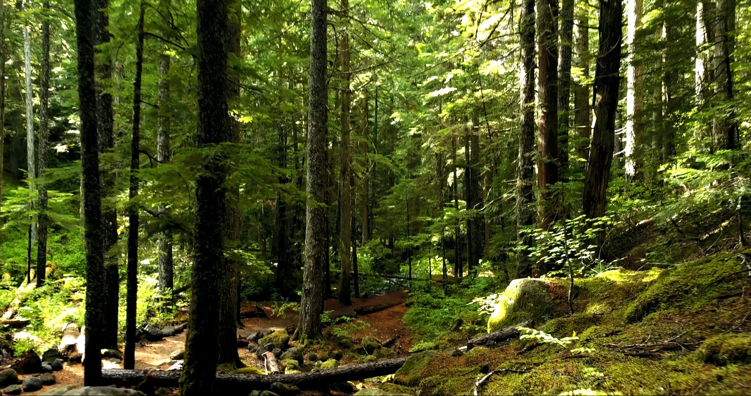 Hypnoce, Services d'Hypnothérapie logo