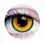 Thumbnail: Mad Hatter - Orange & Yellow Colored Contact lenses