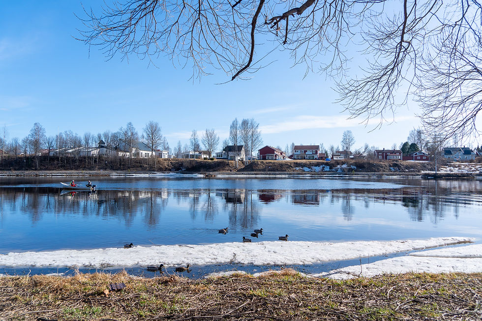 Miniature : Ballade au fleuve