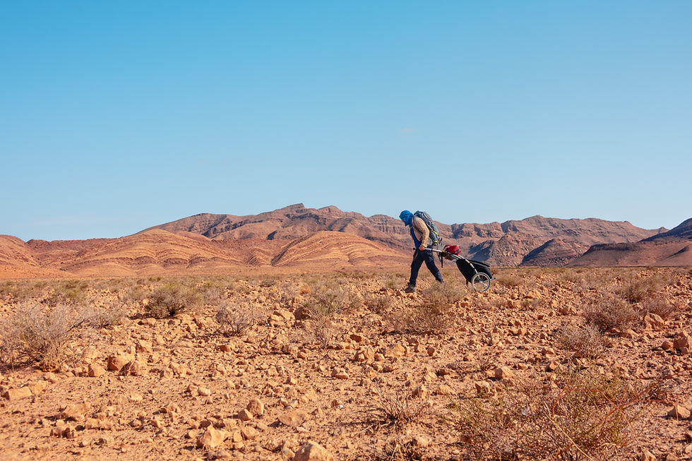 _DSC9538-3 - Copie.jpg