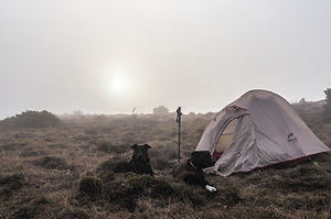 P3040335-2.jpg